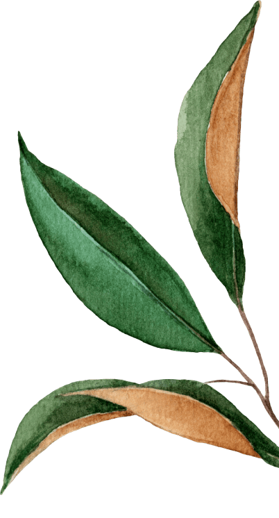 floating leaf